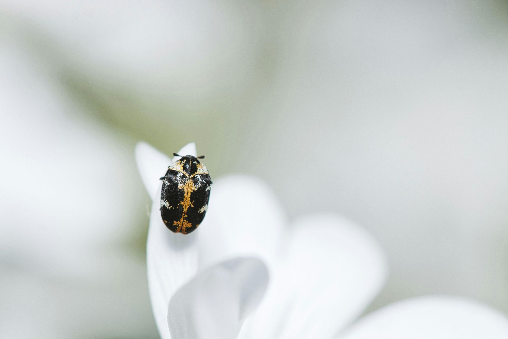 Reselling: La Guía Definitiva para un Negocio (Realmente) Rentable