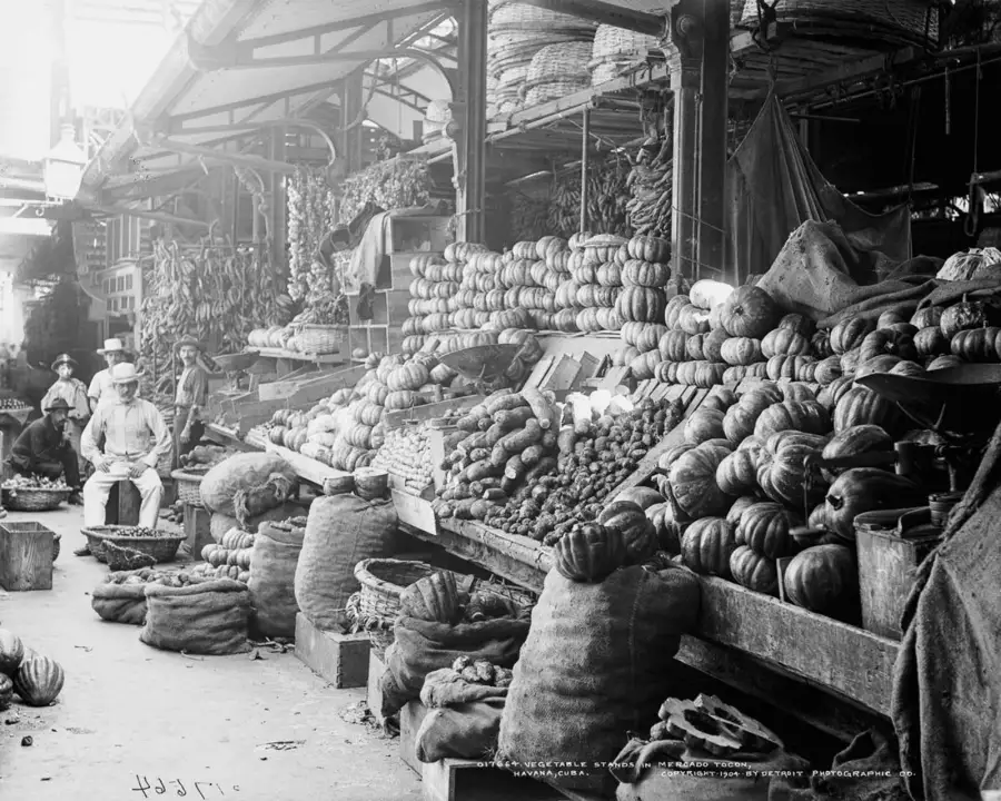 Mercato dell'Avana a inizio Novecento con banchi di frutta tropicale