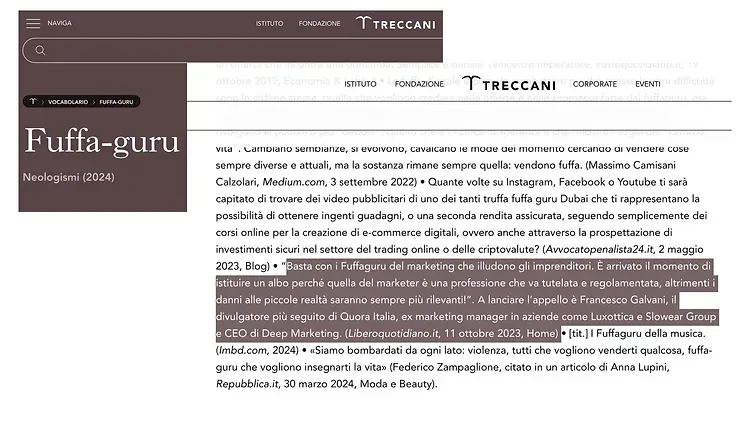 Uno screenshot di un sito web con la scritta fuffa-guru