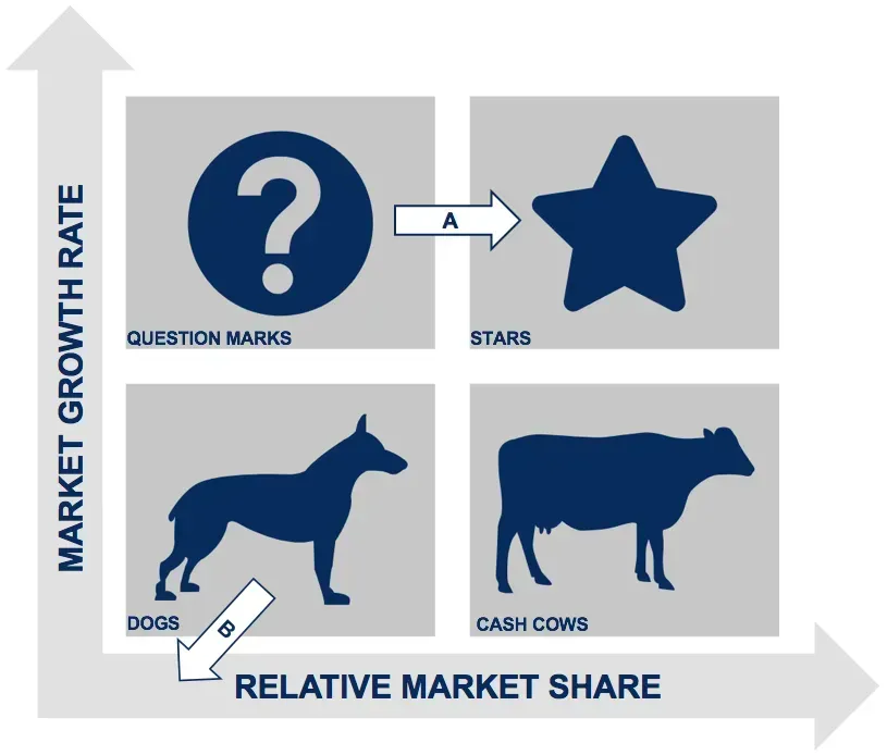 A diagram showing the market growth rate and relative market share