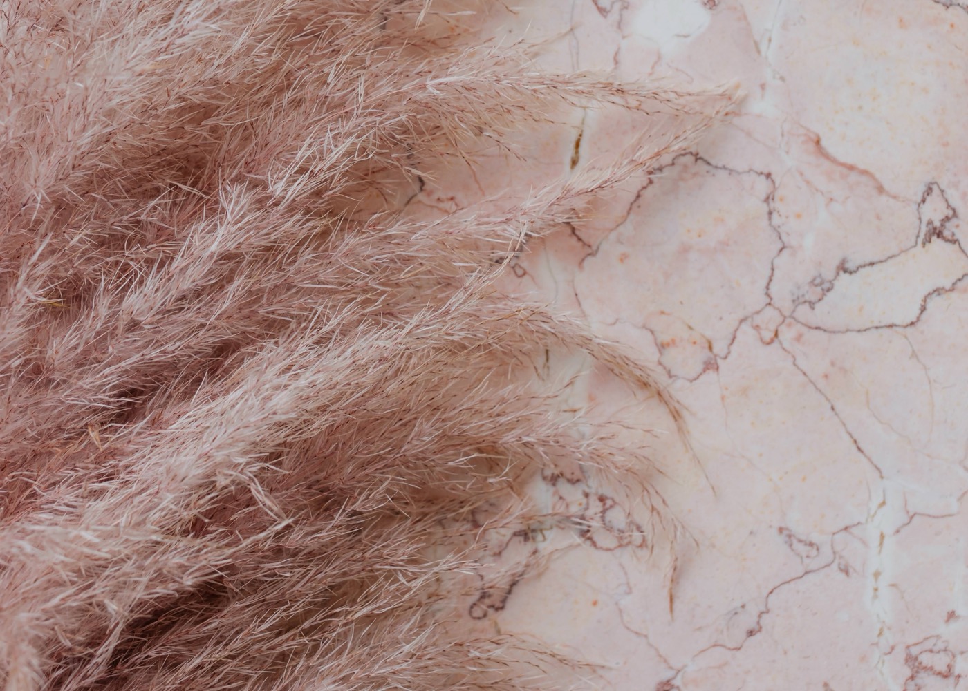 Pirámide de Maslow: El Ídolo Roto del Marketing que Daña tu Empresa (y Cómo Salvarla)