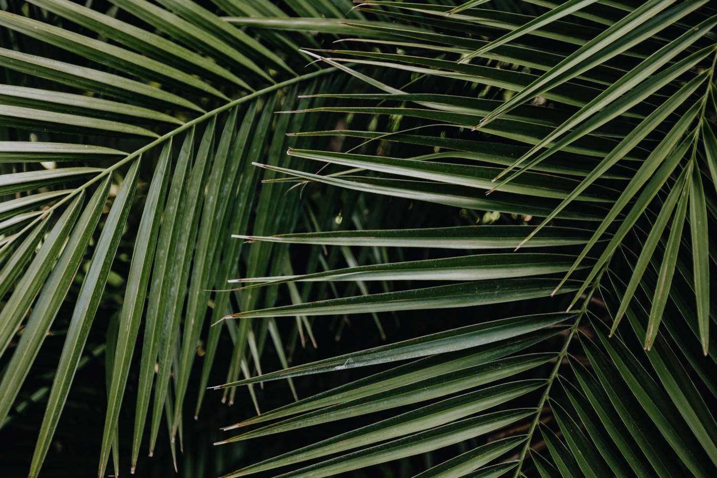 La guida passo-passo per implementare la Strategia Blue Ocean nella tua azienda