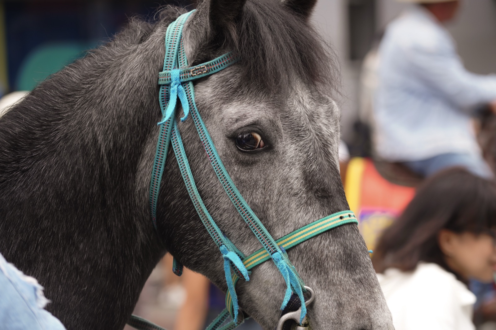 Quiénes Son Tus Verdaderos Competidores (y Cómo Vencerlos)