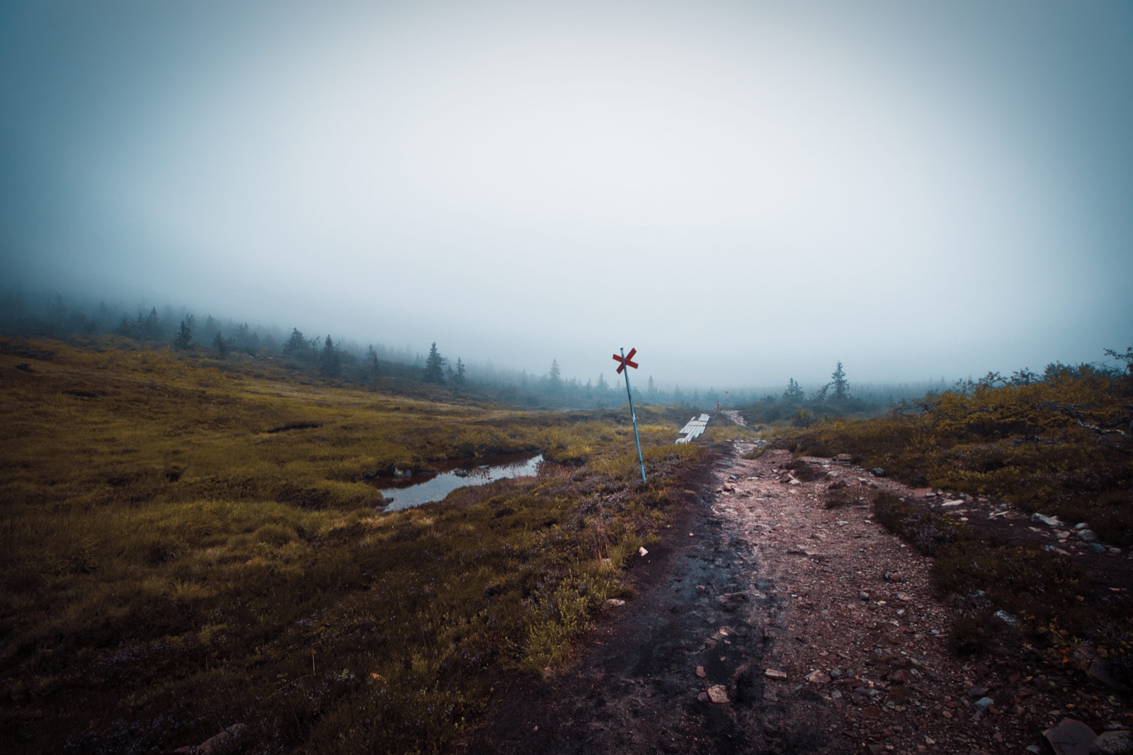 Los funnels de marketing no tienen sentido: la prueba definitiva (2026)